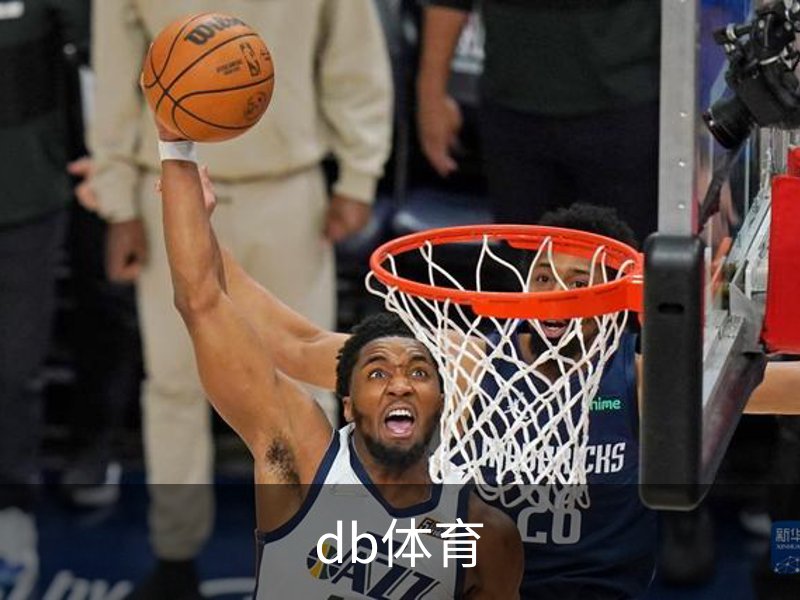 db体育概况